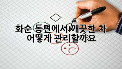 화순 동면에서 깨끗한 차, 어떻게 관리할까요? ✨